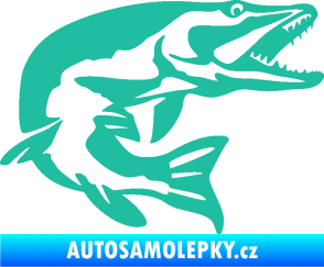 Samolepka Štika 001 pravá tyrkysová