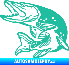 Samolepka Štika 002 levá tyrkysová