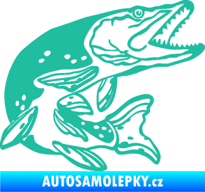 Samolepka Štika 002 pravá tyrkysová