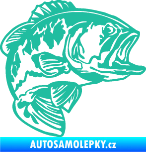Samolepka Sumec 007 pravá tyrkysová