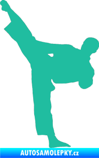 Samolepka Taekwondo 002 levá tyrkysová