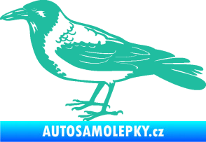 Samolepka Vrána 001 levá tyrkysová