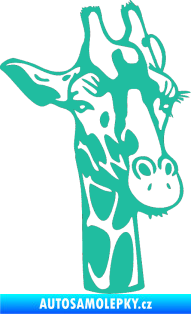 Samolepka Žirafa 001 pravá tyrkysová