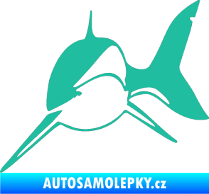 Samolepka Žralok 004 levá tyrkysová