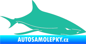 Samolepka Žralok 008 pravá tyrkysová