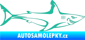 Samolepka Žralok 009 pravá tyrkysová