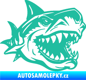 Samolepka Žralok 021 pravá tyrkysová