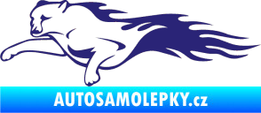 Samolepka Animal flames 018 levá panter střední modrá
