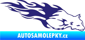 Samolepka Animal flames 059 pravá puma střední modrá