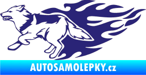 Samolepka Animal flames 090 levá vlk střední modrá