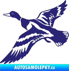 Samolepka Kachna divoká 001 levá kačer střední modrá