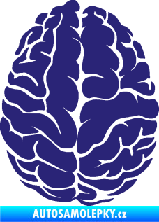Samolepka Mozek 001 pravá střední modrá