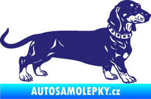 Samolepka Pes 122 pravá jezevčík střední modrá