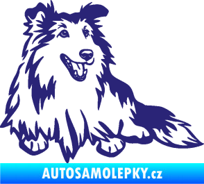 Samolepka Pes 162 pravá sheltie střední modrá