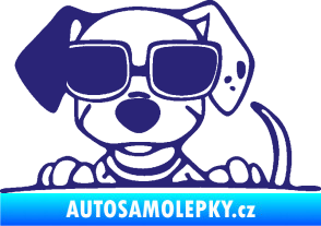 Samolepka Pes s brýlemi 101 levá v autě střední modrá