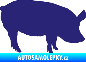 Samolepka Prase 001 pravá střední modrá