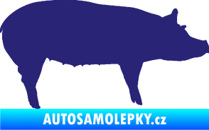 Samolepka Prase 002 pravá střední modrá