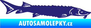 Samolepka Ryba 020 pravá jeseter střední modrá