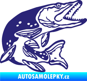 Samolepka Štika 002 pravá střední modrá
