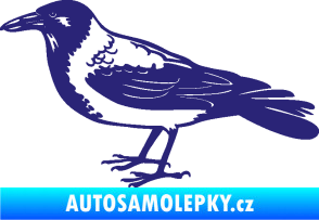 Samolepka Vrána 001 levá střední modrá