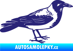Samolepka Vrána 001 pravá střední modrá