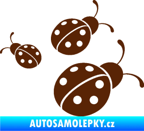 Samolepka Berušky 001 pravá hnědá