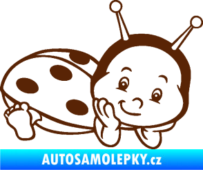 Samolepka Dítě v autě 063 pravá beruška hnědá