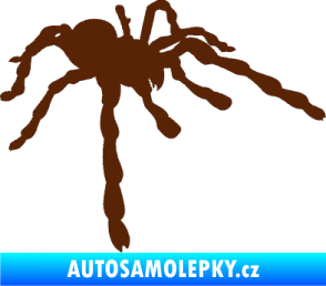 Samolepka Pavouk 013 - pravá hnědá