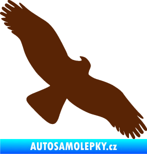 Samolepka Dravec na sklo 001 pravá hnědá