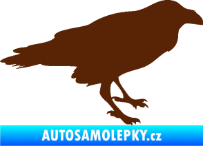 Samolepka Havran 001 pravá hnědá