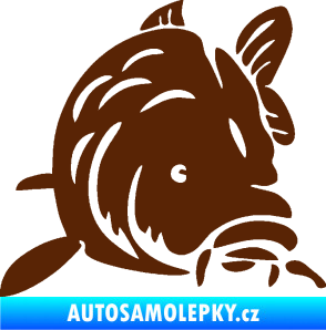 Samolepka Kapr 002 pravá hnědá