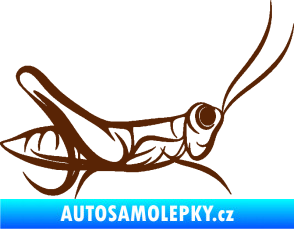Samolepka Kobylka 001 pravá hnědá