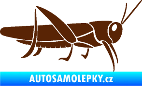 Samolepka Kobylka 002 pravá hnědá