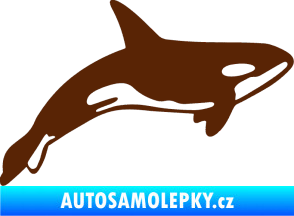 Samolepka Kosatka 001 pravá hnědá