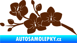 Samolepka Květina dekor 008 levá orchidej hnědá