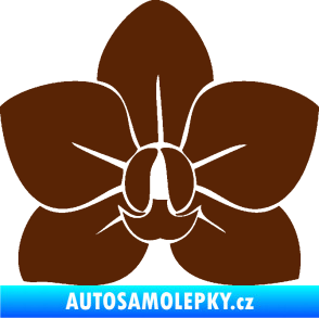 Samolepka Květina dekor 023 orchidej květ hnědá