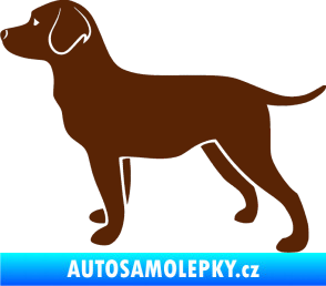 Samolepka Pes 062 levá Labrador hnědá