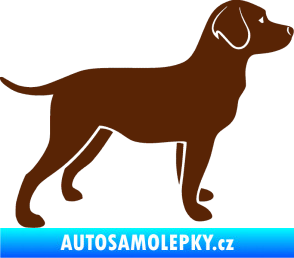 Samolepka Pes 062 pravá Labrador hnědá