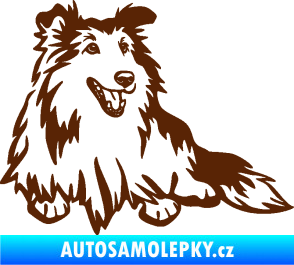 Samolepka Pes 162 pravá sheltie hnědá