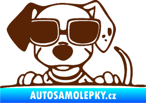 Samolepka Pes s brýlemi 101 levá v autě hnědá
