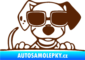 Samolepka Pes s brýlemi 101 pravá v autě hnědá