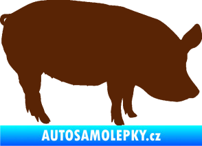 Samolepka Prase 001 pravá hnědá