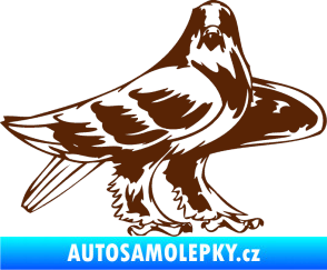 Samolepka Predators 047 pravá hnědá