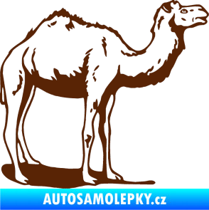 Samolepka Velbloud 001 pravá hnědá