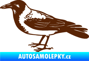 Samolepka Vrána 001 levá hnědá