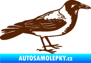 Samolepka Vrána 001 pravá hnědá
