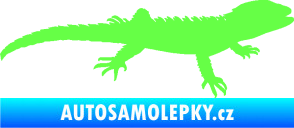 Samolepka Agama 001 pravá Fluorescentní zelená