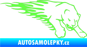 Samolepka Animal flames 020 pravá puma Fluorescentní zelená