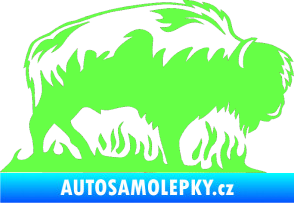 Samolepka Animal flames 071 pravá býk Fluorescentní zelená