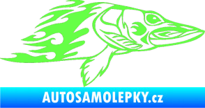 Samolepka Animal flames 074 pravá ryba Fluorescentní zelená